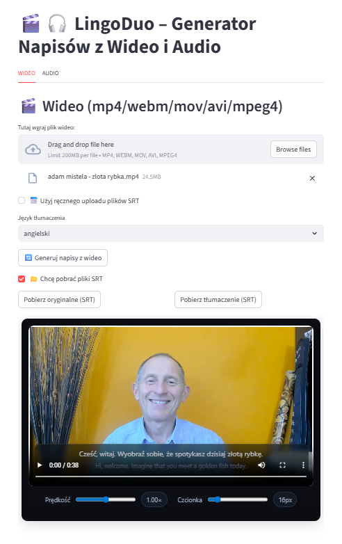 Video translation generation screen