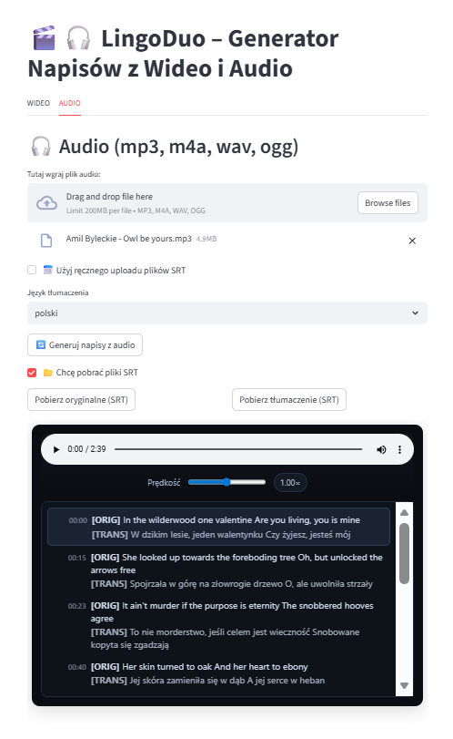 Audio translation generation screen